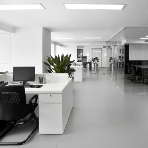 Century - Rectificado  Titanio