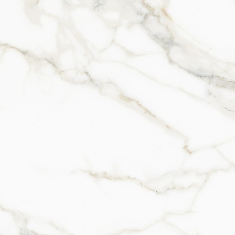 Calacata - Rectificado  Beige